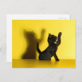 Carte Postale Animaux de bébés cutest | Black Cat Jouer (Devant / Derrière)