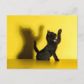 Carte Postale Animaux de bébés cutest | Black Cat Jouer (Devant)