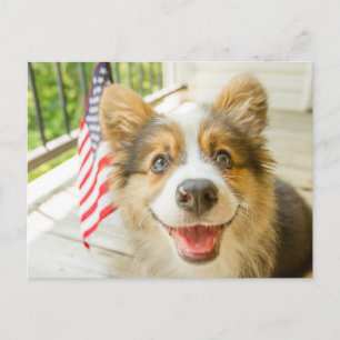 Carte Postale Animaux de bébés cutest   Chiot de Corgi Patriotiq