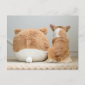 Carte Postale Animaux de bébés cutest | Corgi & Plush Puppy (Devant)