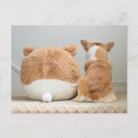 Carte Postale Animaux de bébés cutest | Corgi & Plush Puppy (Devant)