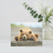 Carte Postale Animaux de bébés cutest | Cub d'ours Brown côtier (Debout devant)
