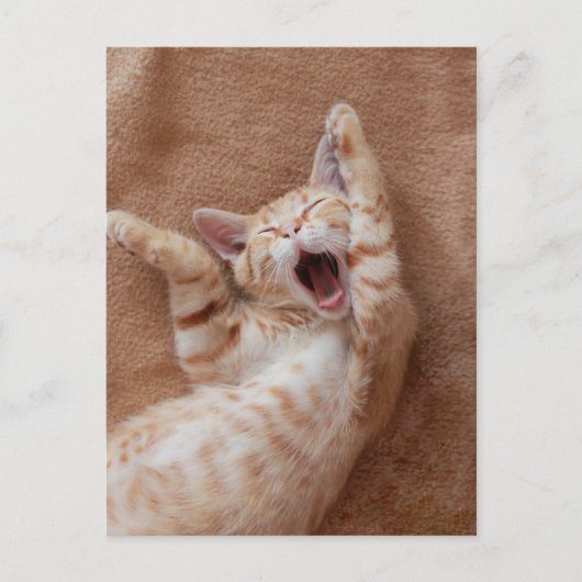 Carte Postale Animaux de bébés cutest | Ginger Kitten Yawning (Devant)