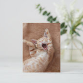 Carte Postale Animaux de bébés cutest | Ginger Kitten Yawning (Debout devant)