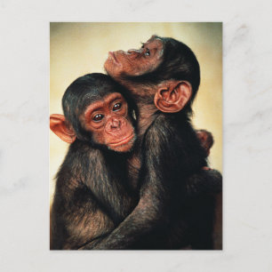 Carte Postale Animaux de bébés cutest Hug de chimpanzé