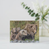 Carte Postale Animaux de bébés cutest | Kodiak Mama Bear & Cubs (Debout devant)