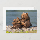 Carte Postale Animaux de bébés cutest | Mère Ours & Cubs (Devant / Derrière)
