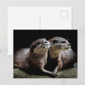 Carte Postale Animaux de bébés cutest | Otters tenant les mains (Devant / Derrière)