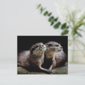 Carte Postale Animaux de bébés cutest | Otters tenant les mains (Debout devant)