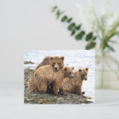 Carte Postale Animaux de bébés cutest | Ours et oursons (Debout devant)