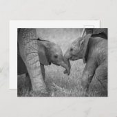 Carte Postale Animaux de bébés cutest | Salutation des éléphants (Devant / Derrière)