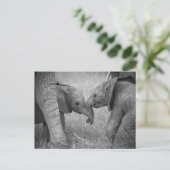 Carte Postale Animaux de bébés cutest | Salutation des éléphants (Debout devant)