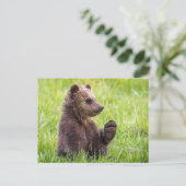 Carte Postale Animaux de bébés cutest | Vague d'ours Brown (Debout devant)
