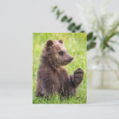 Carte Postale Animaux de bébés cutest | Vague d'ours Brown (Debout devant)
