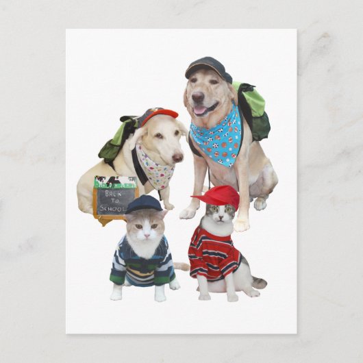 Carte Postale Animaux de compagnie (Devant)