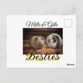 Carte Postale Animaux de compagnie amis besties ajouter nom anim (Dos)