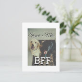 Carte Postale Animaux de compagnie amis besties ajouter nom anim (Debout devant)