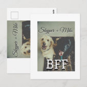 Carte Postale Animaux de compagnie amis besties ajouter nom anim (Devant / Derrière)