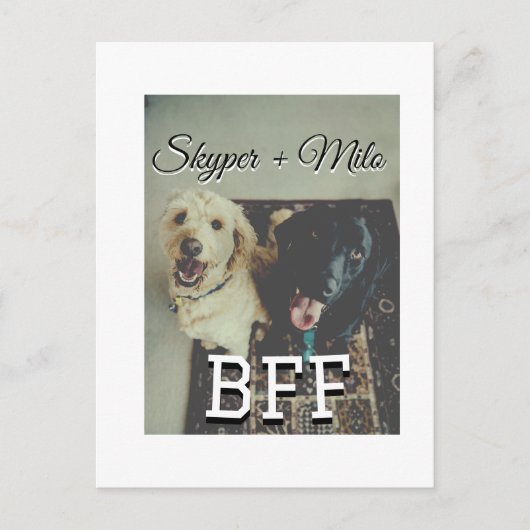Carte Postale Animaux de compagnie amis besties ajouter nom anim (Devant)