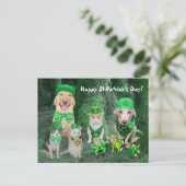 Carte Postale Animaux de compagnie et Leprechauns (Debout devant)