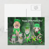 Carte Postale Animaux de compagnie et Leprechauns (Devant / Derrière)
