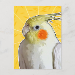 Carte Postale Animaux de compagnie gaie Cockatiel Oiseau Citron 