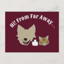 Animaux de compagnie qui se connectent sur vous