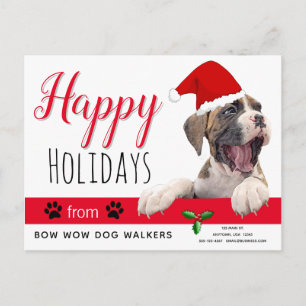 Carte Postale Animaux de compagnie Vacances de Noël du chien Car