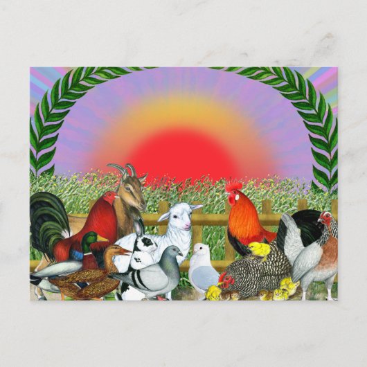 Carte Postale Animaux de ferme (Devant)