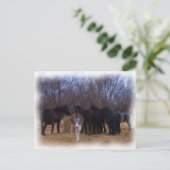 Carte Postale animaux de ferme (Debout devant)