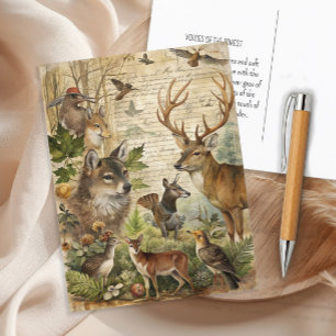 Carte Postale Animaux de la forêt ancienne Loup Cerf Nature