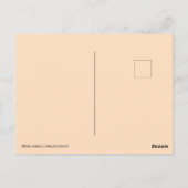 Carte Postale Animaux de la forêt Nuits autour du feu de camp Ca (Dos)