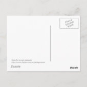 Carte Postale Animaux de la jungle colorée (Dos)