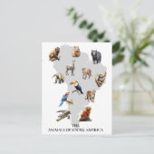 Carte Postale Animaux de l'Amérique du Sud Faune (Debout devant)