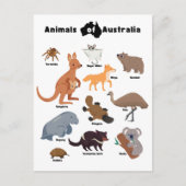 Carte Postale Animaux de l'Australie faune australienne (Devant)