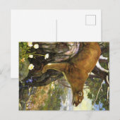 Carte Postale Animaux des Appalaches (Devant / Derrière)