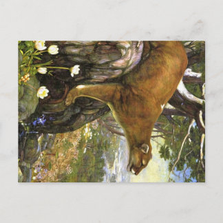 Carte Postale Animaux des Appalaches