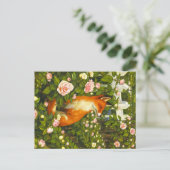 Carte Postale Animaux des Appalaches (Debout devant)