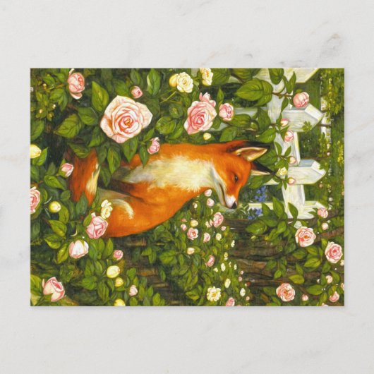 Carte Postale Animaux des Appalaches (Devant)