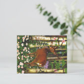 Carte Postale Animaux des Appalaches (Debout devant)
