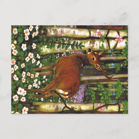 Carte Postale Animaux des Appalaches (Devant)