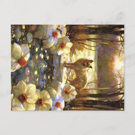 Carte Postale Animaux des Appalaches (Devant)