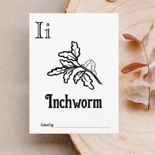 Carte Postale Animaux des bois ABC Coloration Activité du Baby s