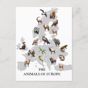 Carte Postale Animaux d'Europe
