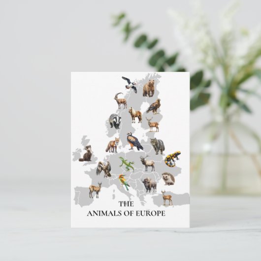 Carte Postale Animaux d'Europe (Debout devant)