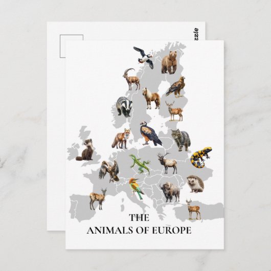 Carte Postale Animaux d'Europe (Devant / Derrière)