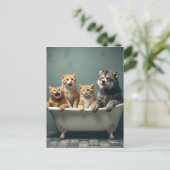 Carte Postale Animaux drôles dans la baignoire (Debout devant)