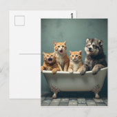 Carte Postale Animaux drôles dans la baignoire (Devant / Derrière)