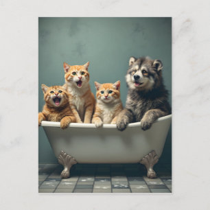 Carte Postale Animaux drôles dans la baignoire