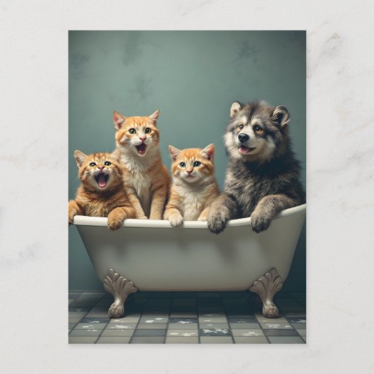 Carte Postale Animaux drôles dans la baignoire (Devant)